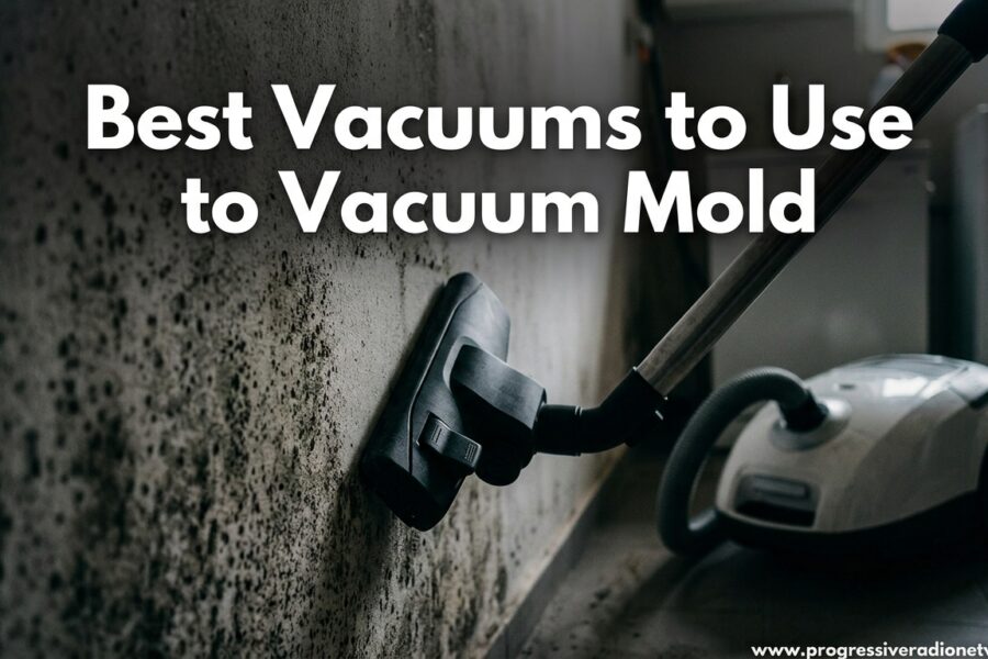 Best Vacuums to Use to Vacuum Mold