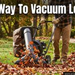 Best Way To Vacuum Leaves