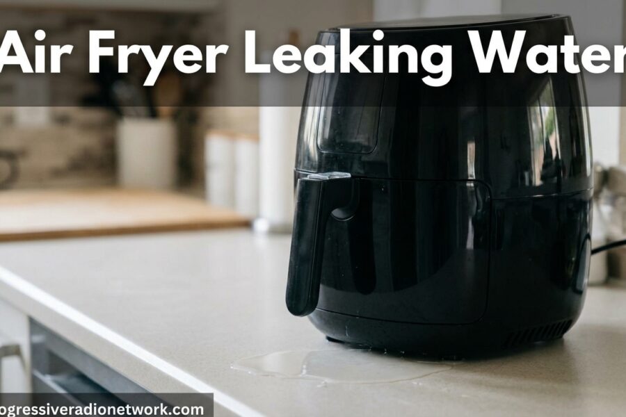 Air Fryer Leaking Water