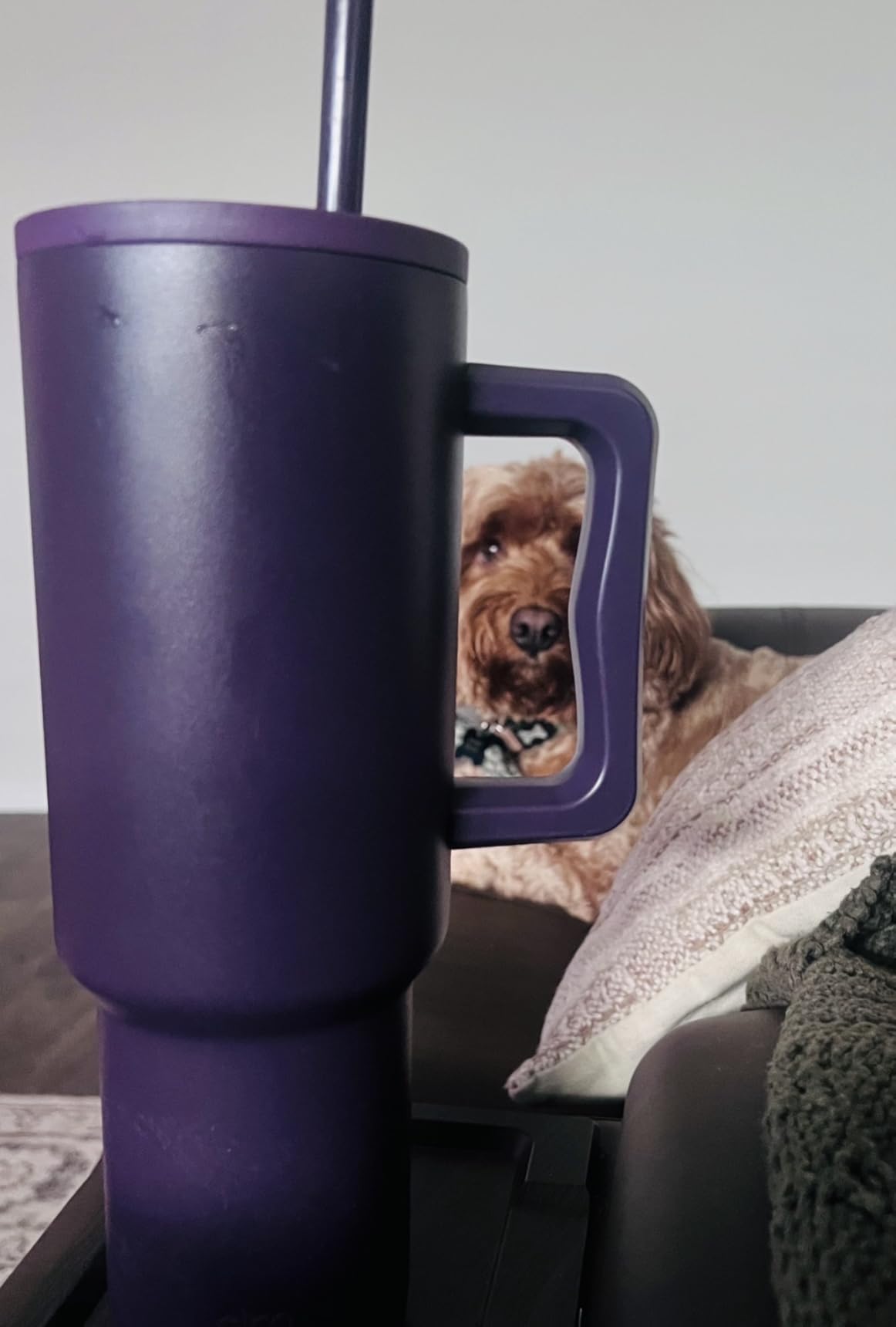 Simple Modern 40 oz Trek Tumbler with Handle and Straw Lid | Cup Holder Friendly Insulated Stainless Steel Travel Mug | Forest customer photo 1