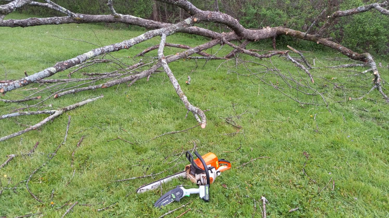CEEPUY Mini Chainsaw Cordless,6 Inch Portable Electric Chainsaw with 2 Batterys/Automatic Oiler/Security Lock/Powered Small Handheld Saw for Trees Branches Trimming,Gifts for Father Men Dad Husband customer photo 2