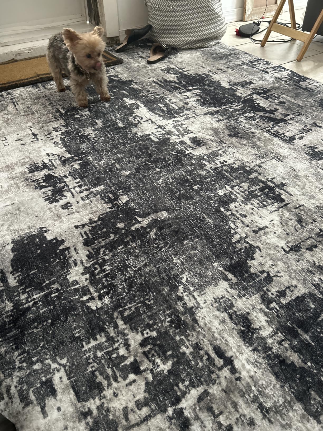 8x10 Area Rugs for Living Room Washable: Abstract Soft Thin Low Pile Black Rug, Indoor Floor Non Slip Stain Resistant Modern Carpet for Bedroom Nursery Farmhouse Dining Room Office (Black, 8'x10') customer photo 2