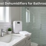 Best Dehumidifiers for Bathroom