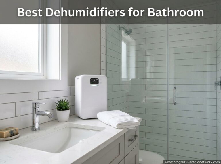 Best Dehumidifiers for Bathroom