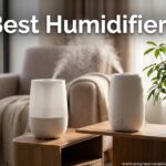 Best Humidifiers