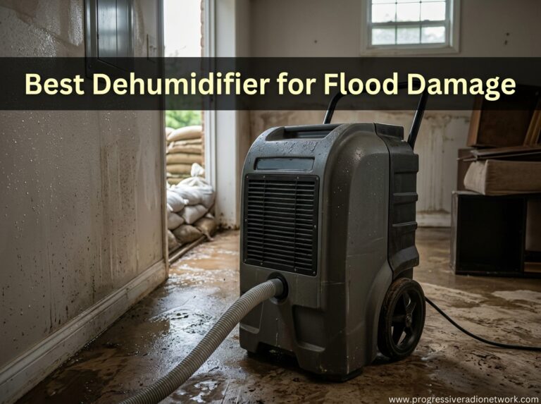 Best Made in USA Dehumidifiers