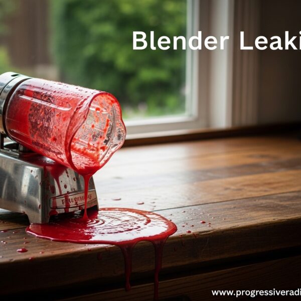 Blender Leaking