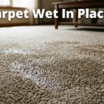 Carpet Wet In Places