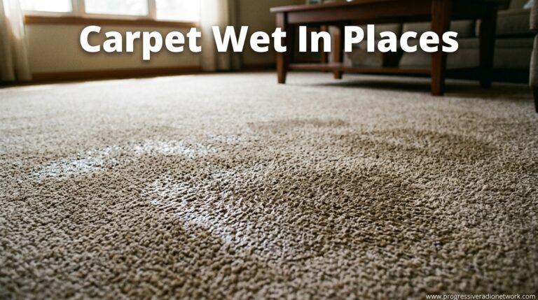 Carpet Wet In Places