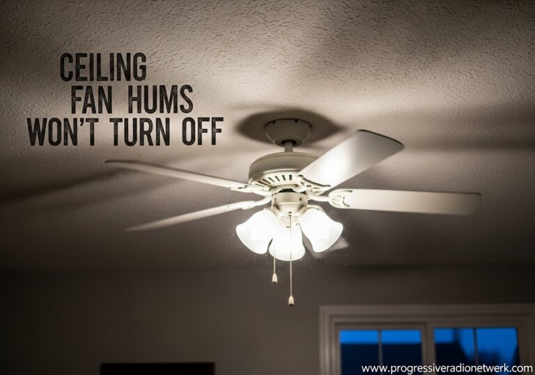 Ceiling Fan Hums Wont Turn Off