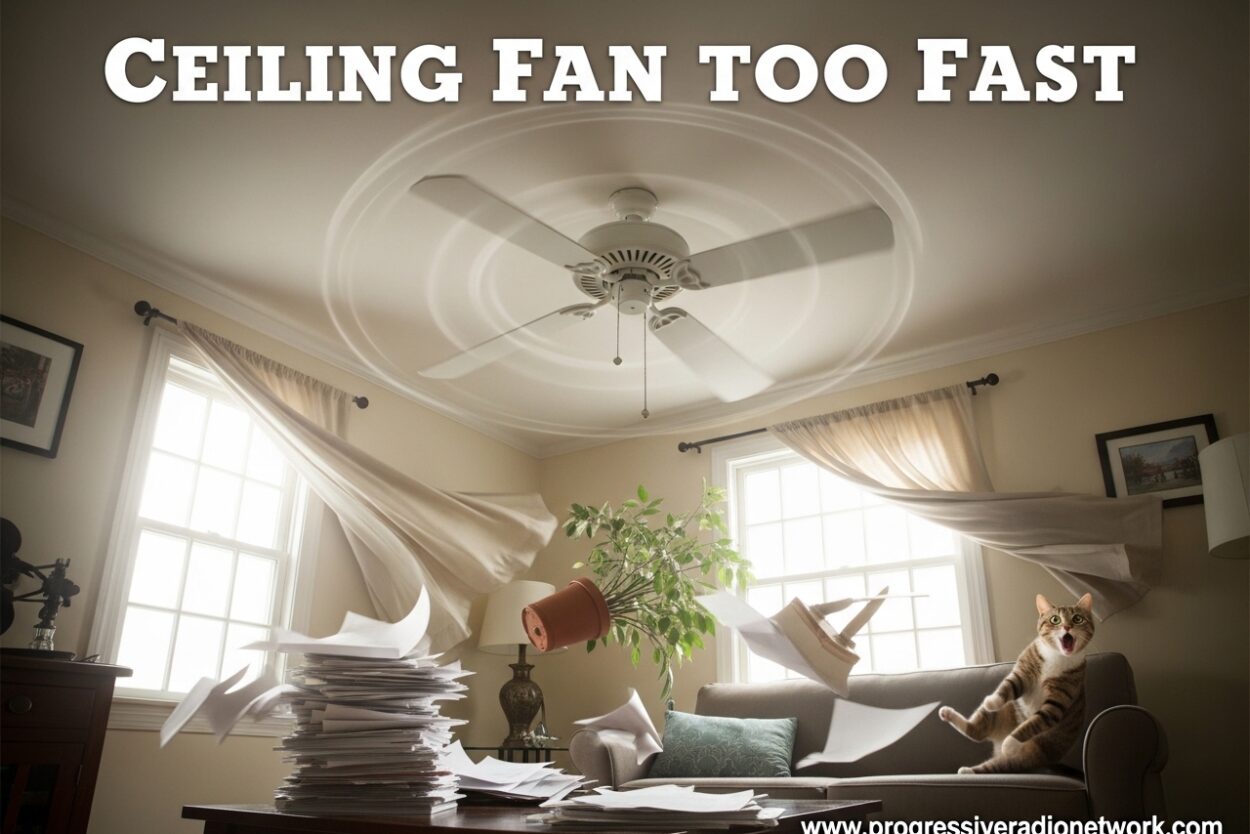 Ceiling Fan Too Fast