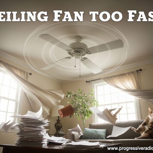 Ceiling Fan Too Fast