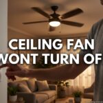 Ceiling Fan Wont Turn Off
