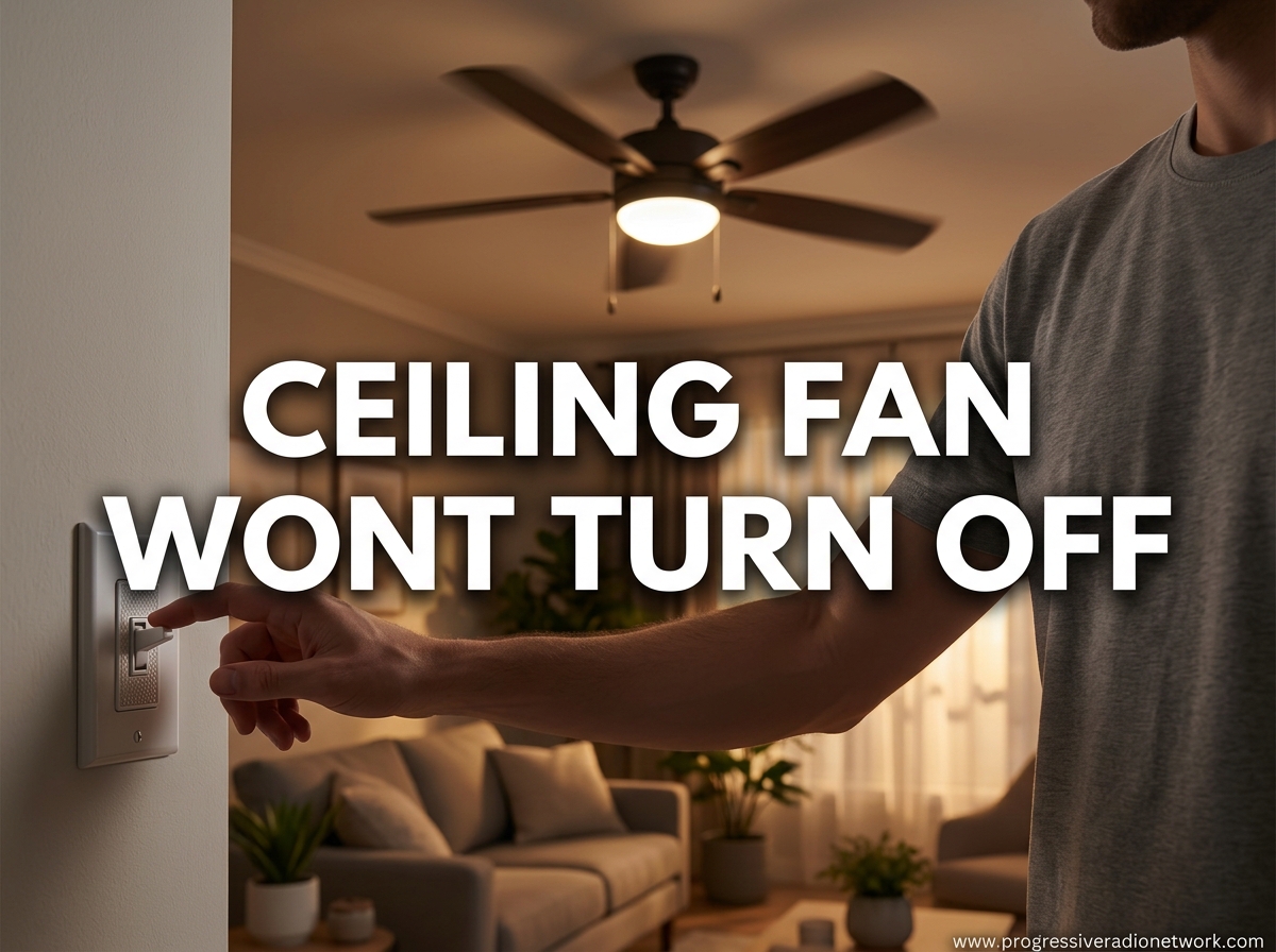 Ceiling Fan Wont Turn Off