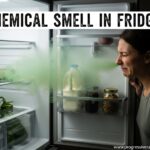 Chemical Smell in Fridge