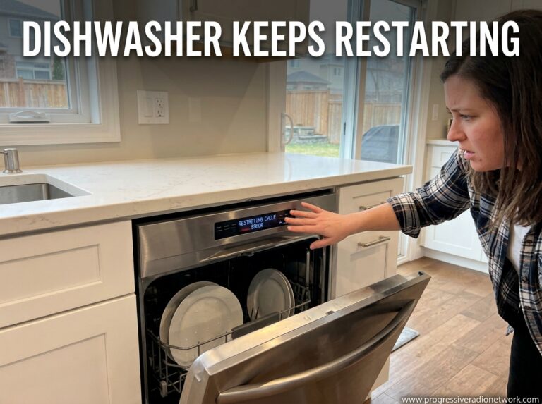 Dishwasher Keeps Restarting