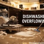 Dishwasher Overflowing