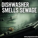 Dishwasher Smells Sewage