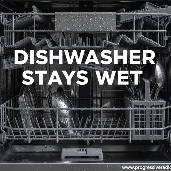 Dishwasher Stays Wet
