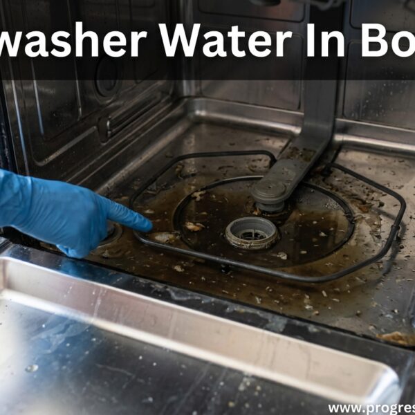 Dishwasher Water In Bottom