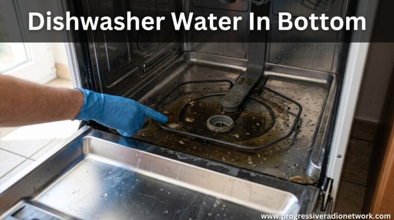 Dishwasher Water In Bottom