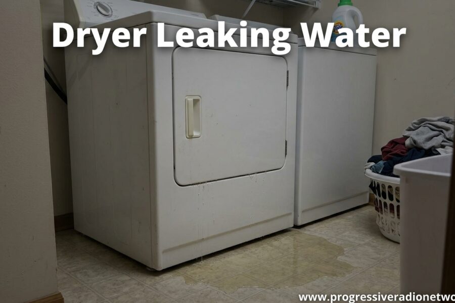 Dryer Leaking Water