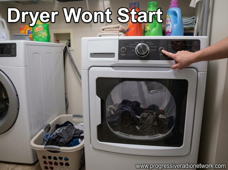 Dryer Wont Start