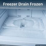Freezer Drain Frozen