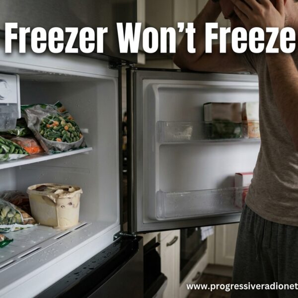 Freezer Won't Freeze