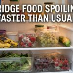 Fridge Food Spoiling Faster Than Usual