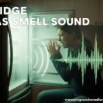 Fridge Gas Smell Sound