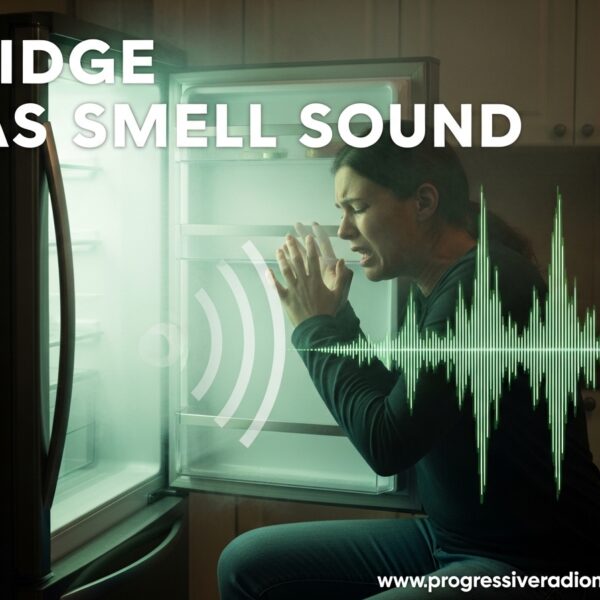 Fridge Gas Smell Sound