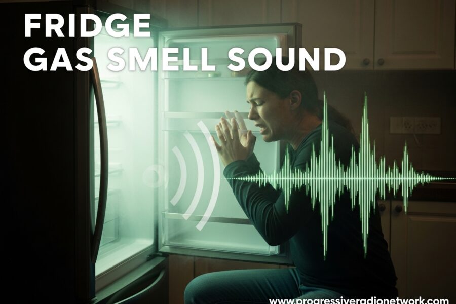 Fridge Gas Smell Sound