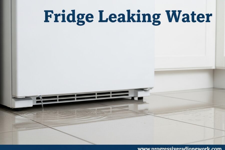 Fridge Leaking Water