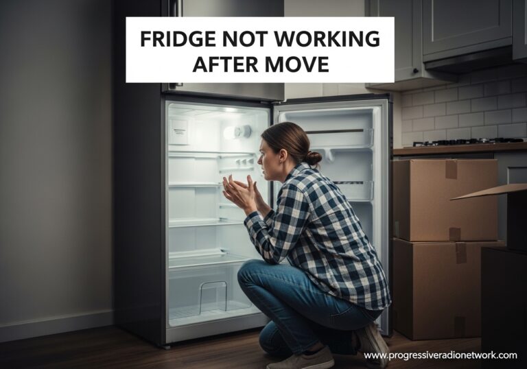 Fridge Not Working After Move