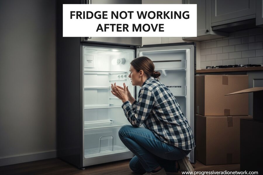 Fridge Not Working After Move