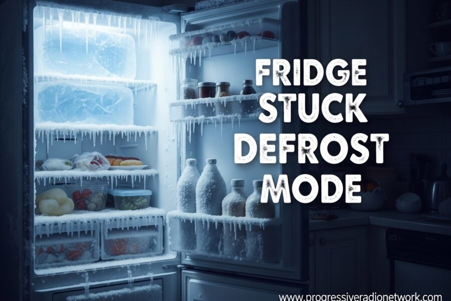 Fridge Stuck Defrost Mode