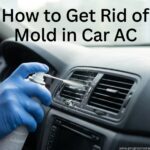 How to Get Rid of Mold in Car AC