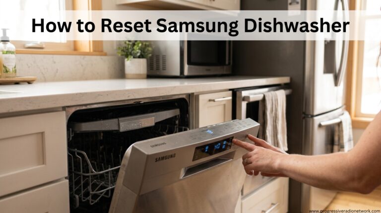 How to Reset Samsung Dishwasher