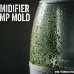 Humidifier Damp Mold