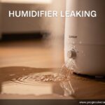 Humidifier Leaking