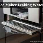 Ice Maker Leaking Water