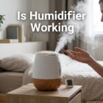 Is Humidifier Working