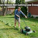 Lawn Mower Not Cutting Low Enough