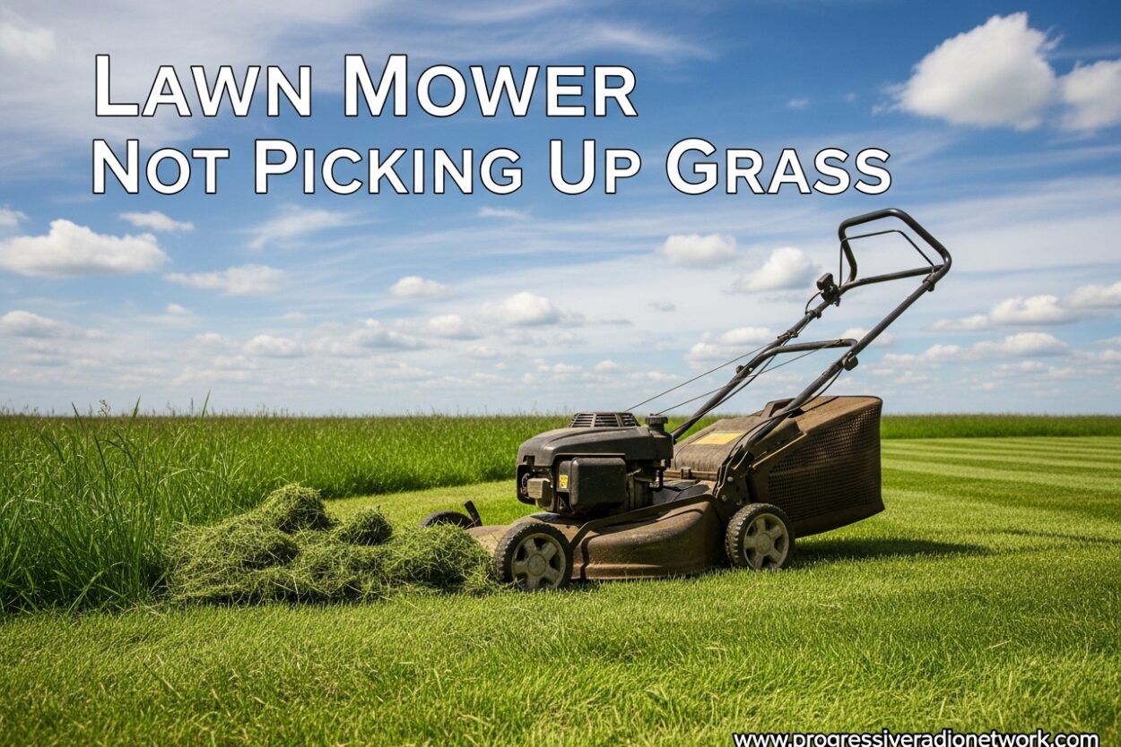 Lawn Mower Not Picking Up Grass
