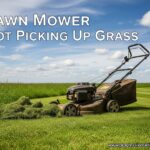Lawn Mower Not Picking Up Grass