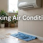 Leaking Air Conditioner