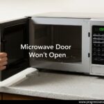 Microwave Door Won't Open