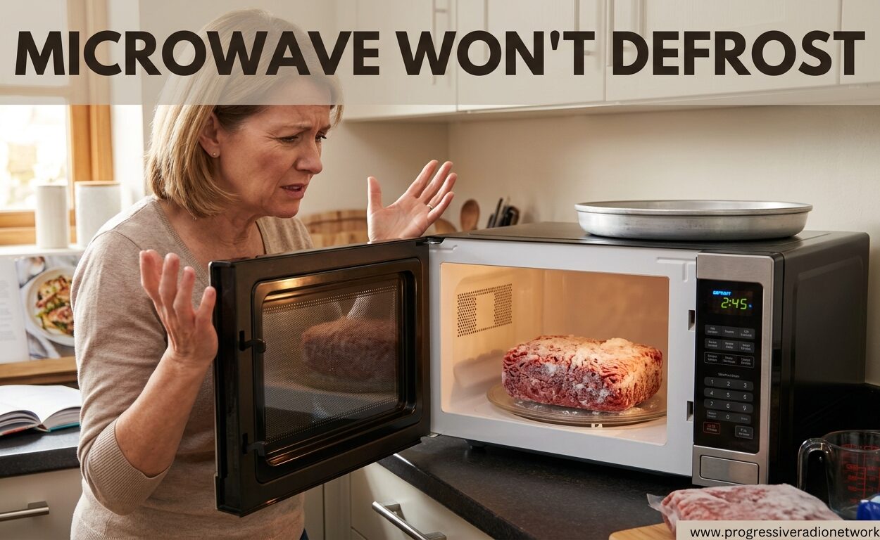 Microwave Won't Defrost