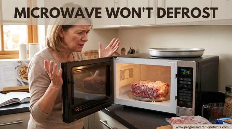 Microwave Won't Defrost